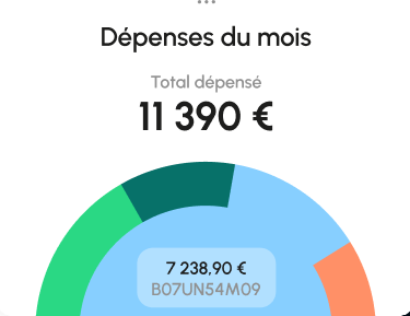 Monthly Expenses Chart